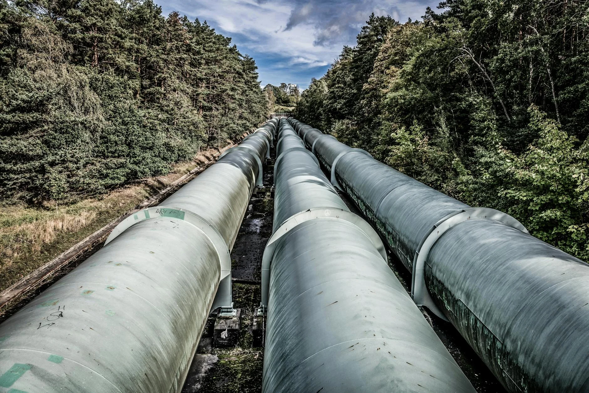 A photorealistic, professional photography, 8K, cinematic lighting, sharp focus, depth of field, shot on a high-end DSLR. Image depicts a complex, futuristic data pipeline, glowing with blue and green data streams, flowing through multiple robust, fortified checkpoints and validation gates. The architecture suggests resilience and security, with clear separation of stages and protective barriers. View of large industrial pipelines running through a lush forest landscape. — Foto: Wolfgang Weiser / Pexels